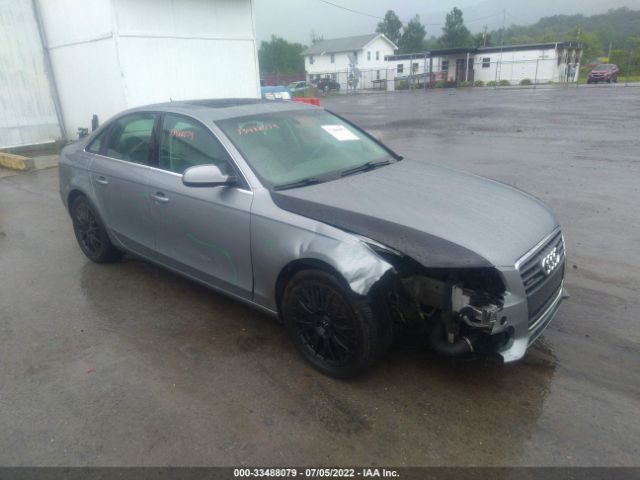 AUDI A4 2010 wauhfaflxan026440