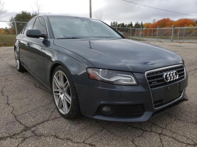 AUDI A4 PREMIUM 2011 wauhfcfl0bn001785