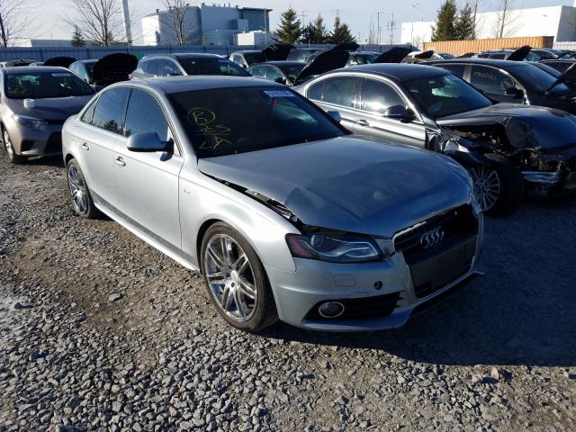 AUDI A4 PREMIUM 2010 wauhfcfl3an014352