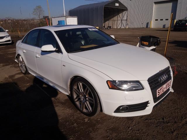 AUDI A4 PREMIUM 2010 wauhfcfl7an034720