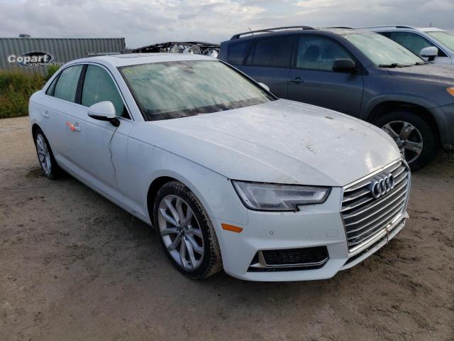 AUDI A4 PREMIUM 2019 wauhmaf4xkn014546