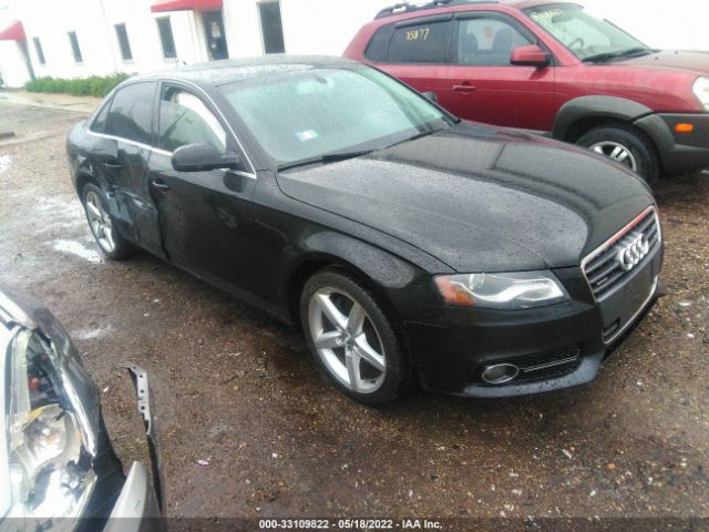 AUDI A4 2010 waukfafl0an049697