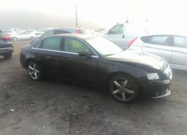 AUDI A4 2010 waukfafl1an010634