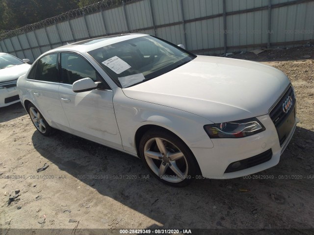 AUDI A4 2010 waukfafl2an033680