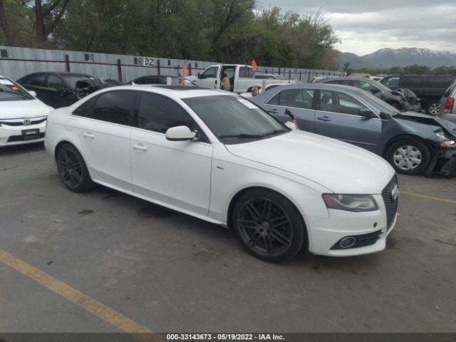 AUDI A4 2010 waukfafl4an018081