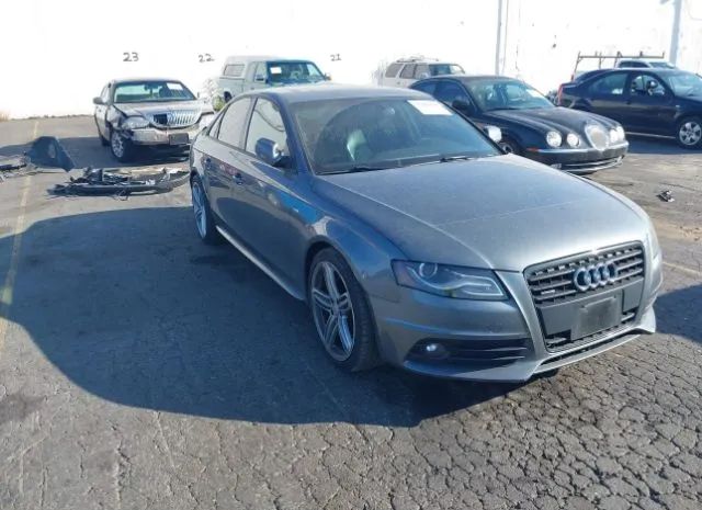 AUDI A4 2012 waukfafl8cn018992