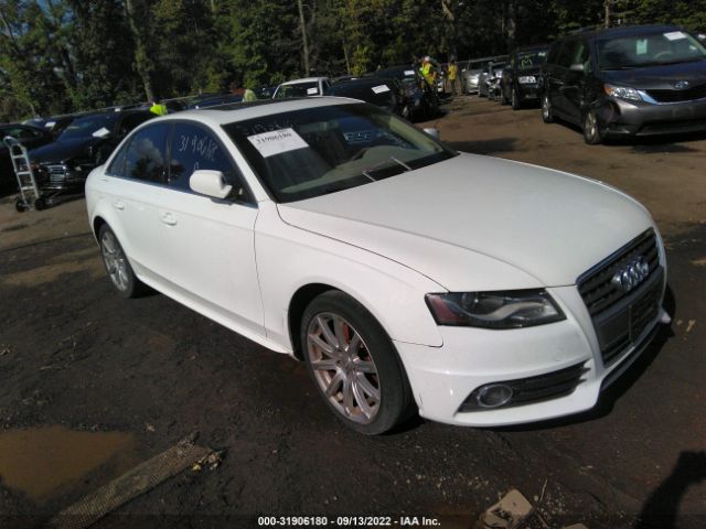 AUDI A4 2012 waukfbfl0cn002954