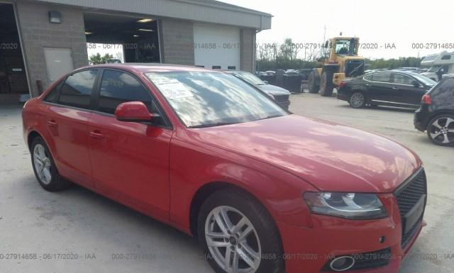 AUDI A4 2009 waulf78kx9a131595