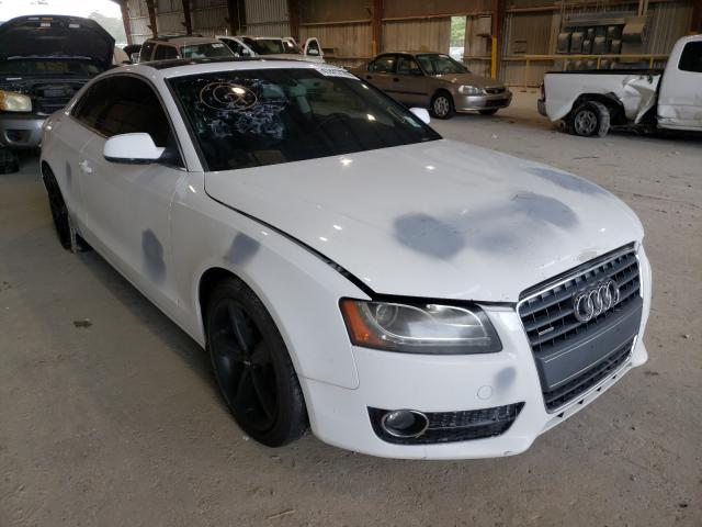 AUDI A5 PREMIUM 2010 waulfafr3aa062556