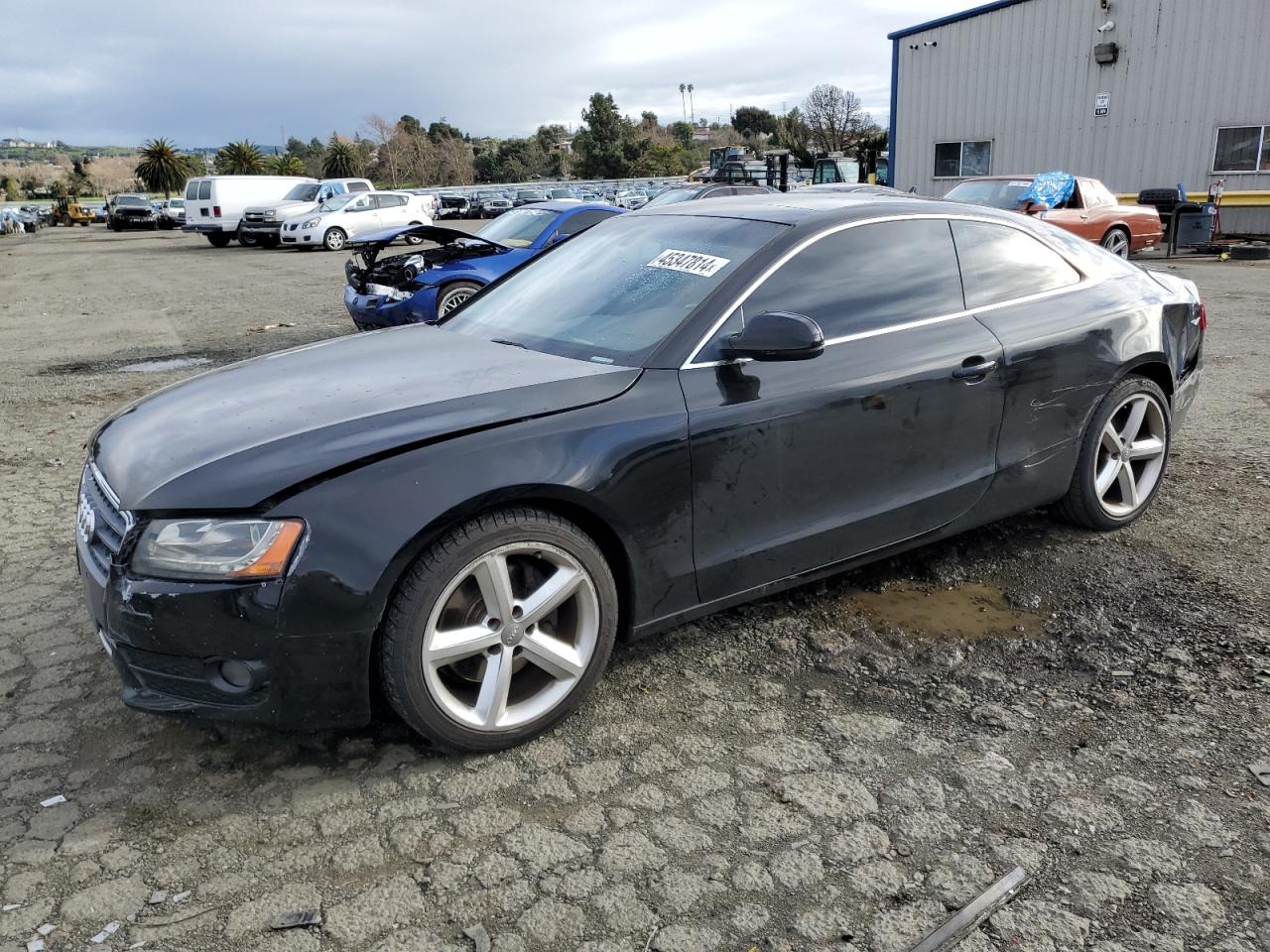 AUDI A5 2010 waulfafr4aa024561