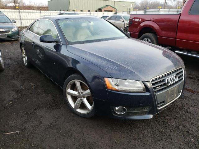 AUDI A5 PREMIUM 2010 waulfafrxaa081976