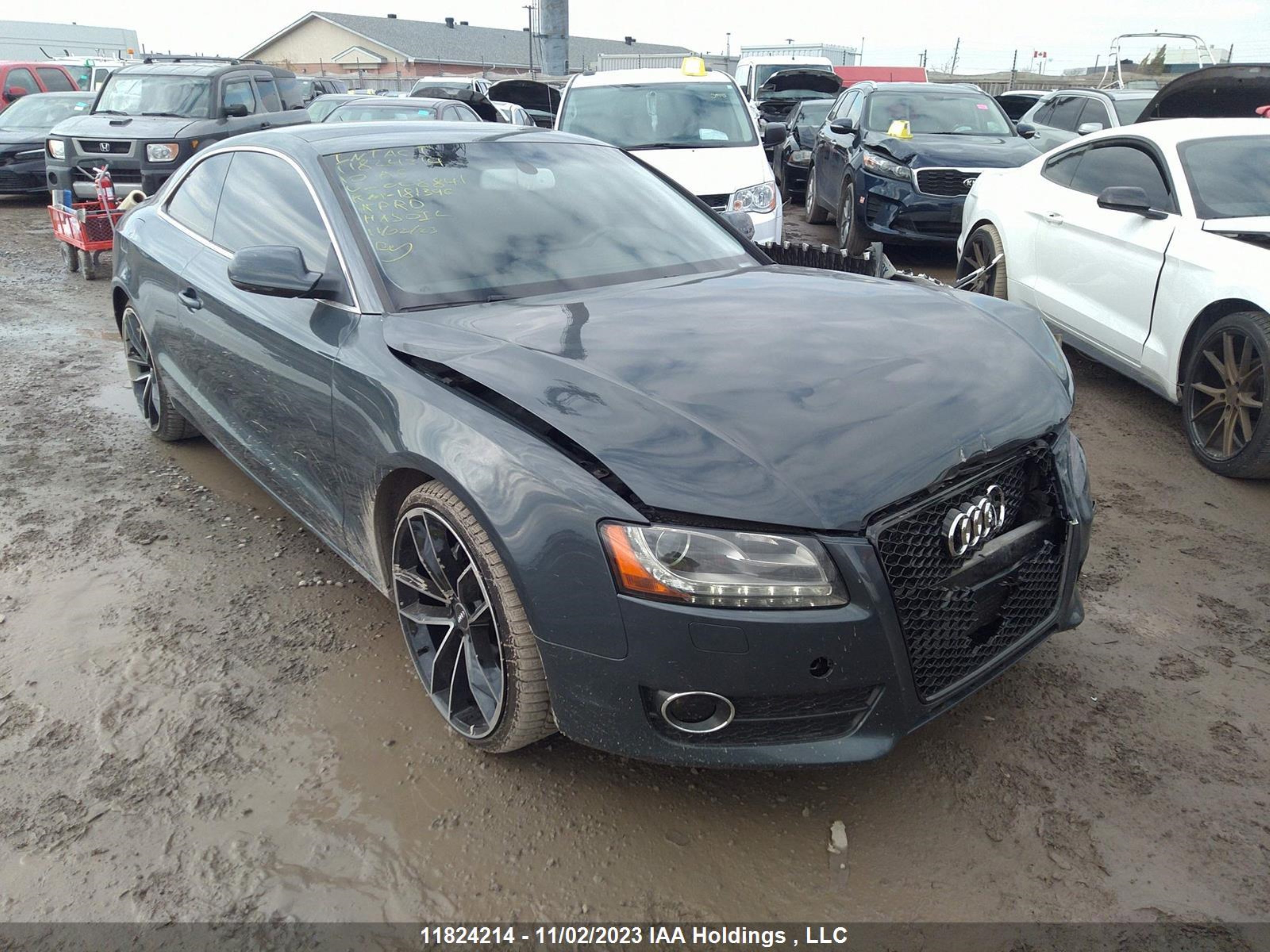 AUDI A5 2010 waulfbfrxaa008841