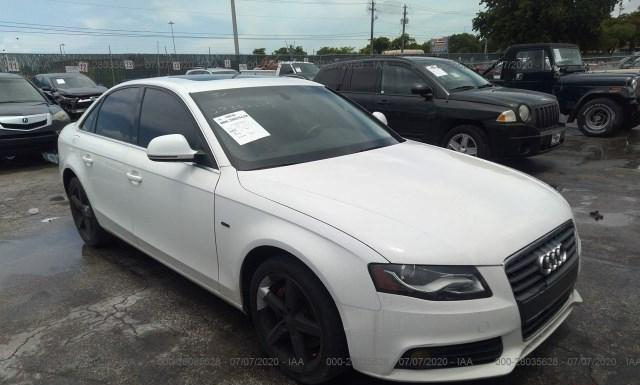 AUDI A4 2009 waumf78k49a091048