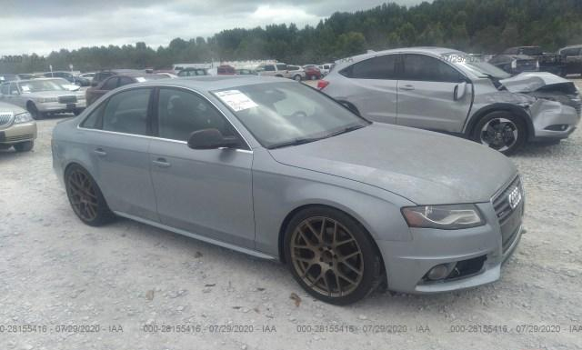 AUDI A4 2010 waumfafl1an021853