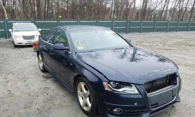 AUDI A4 2010 waumfafl5an053169