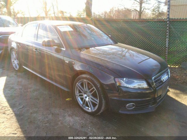 AUDI A4 2010 waumfbfl5an025376