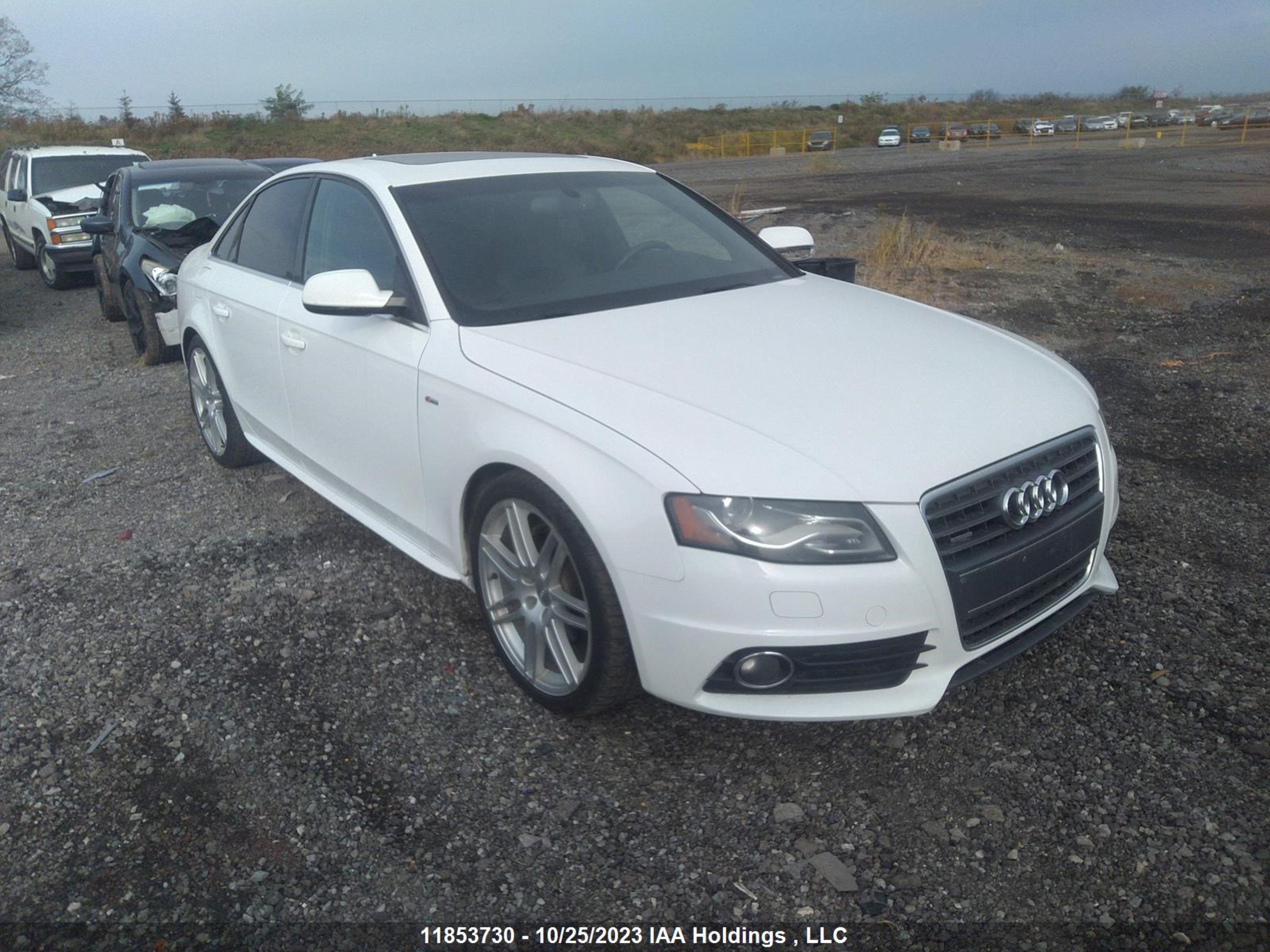 AUDI A4 2012 waumfcfl1cn004310