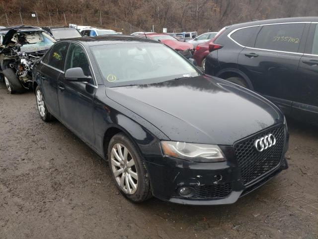 AUDI A4 PREMIUM 2009 wausf78k99n045344