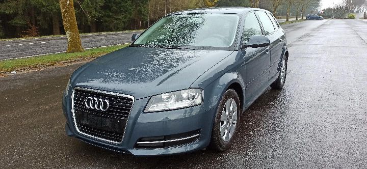 AUDI A3 SPORTBACK 2010 wauzzz8p7ba001773