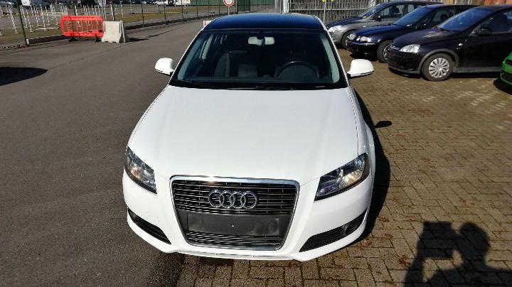 AUDI A3 SPORTBACK 2009 wauzzz8pxaa043966