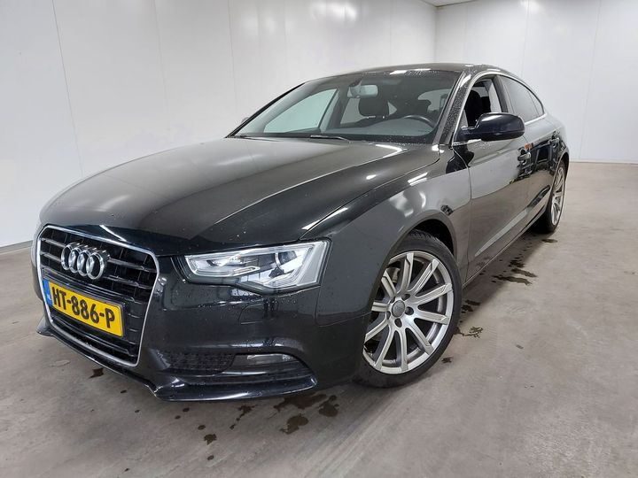 AUDI A5 SPORTBACK 2017 wauzzz8t2fa038166