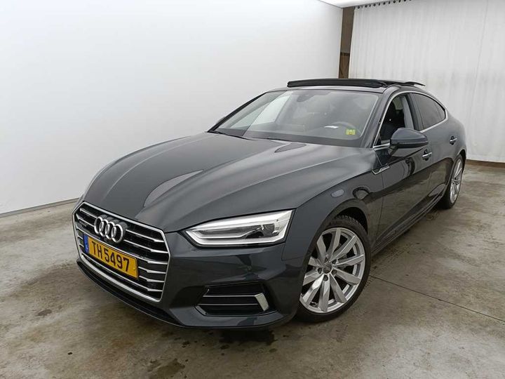 AUDI A5 SPORTBACK 2019 wauzzzf55ka024955