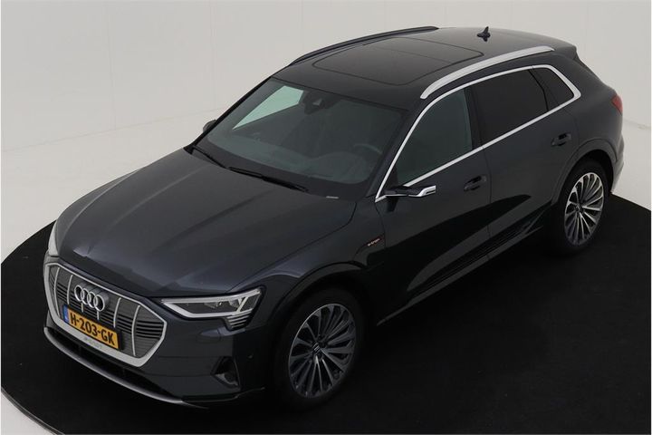 AUDI E-TRON 2019 wauzzzgexlb003190