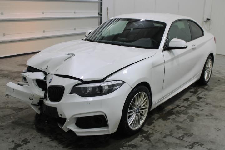 BMW 2 SERIES COUPE 2019 wba11ck0607e26265