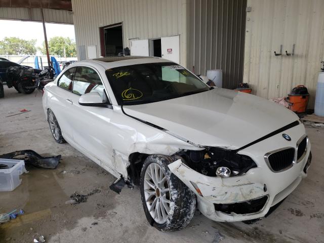 BMW 228 I 2015 wba1f5c56fv256448