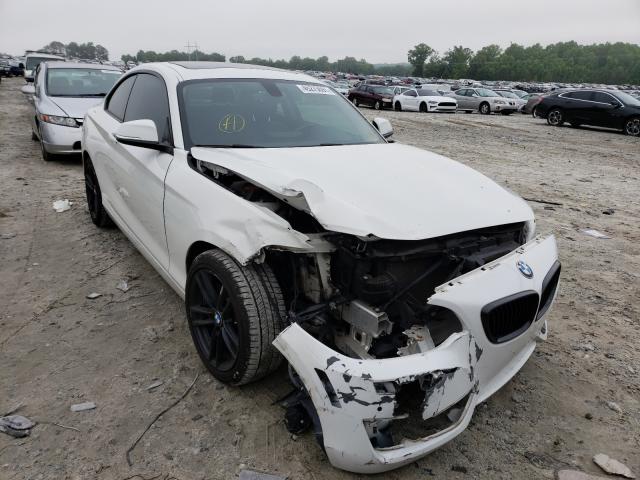 BMW 228 I 2015 wba1f5c58fv256483