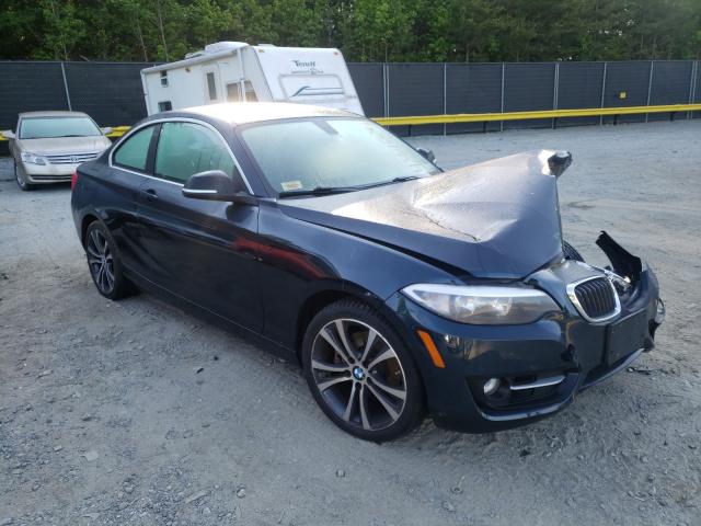 BMW 228 XI 2015 wba1f7c55fvx95610