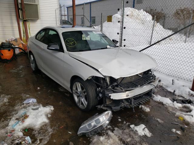 BMW 228 XI 2015 wba1f7c57fv367604