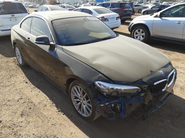 BMW 228 I SULE 2016 wba1f9c53gv545487