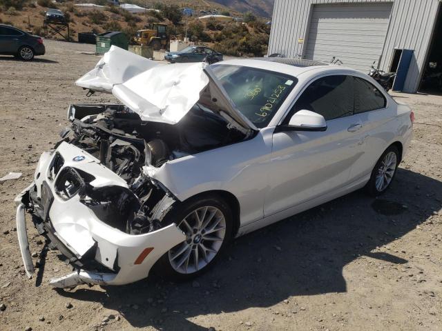 BMW 2 SERIES 2015 wba1f9c59fvw98566