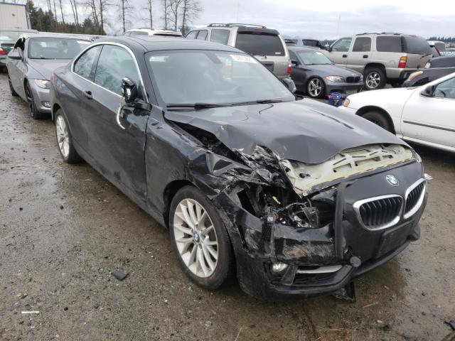 BMW 228 I SULE 2016 wba1f9c59gv546062