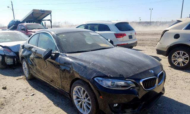 BMW 228 2016 wba1g9c50gv726074