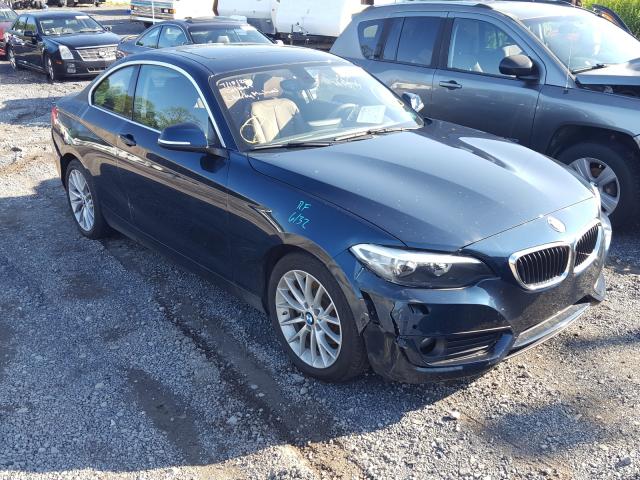 BMW NULL 2015 wba1g9c51fvx96567