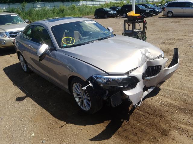 BMW 228 XI SUL 2016 wba1g9c59gv599051