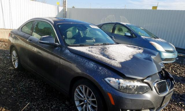 BMW 228 2016 wba1g9c59gvx97208