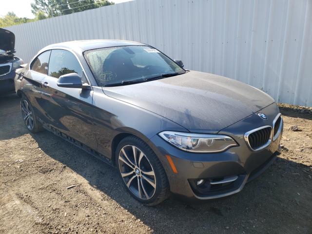 BMW 228 XI SUL 2016 wba1g9c5xgv598314