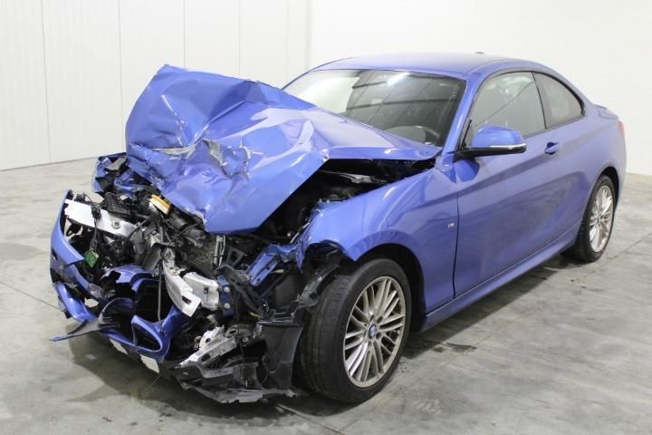 BMW 2 SERIES COUPE 2016 wba1j11020v263385