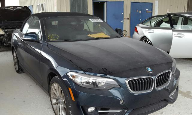 BMW 228 2016 wba1k9c51gv710223