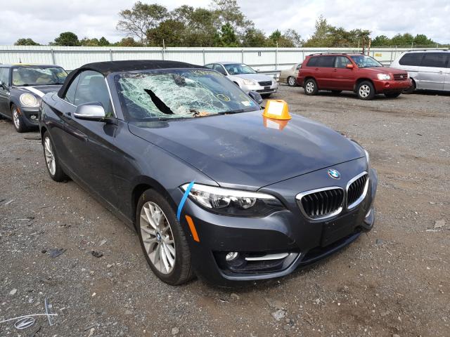 BMW 228 XI SUL 2016 wba1l9c50gv325085