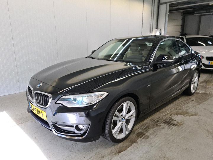 BMW 230 2016 wba2f51050v663132