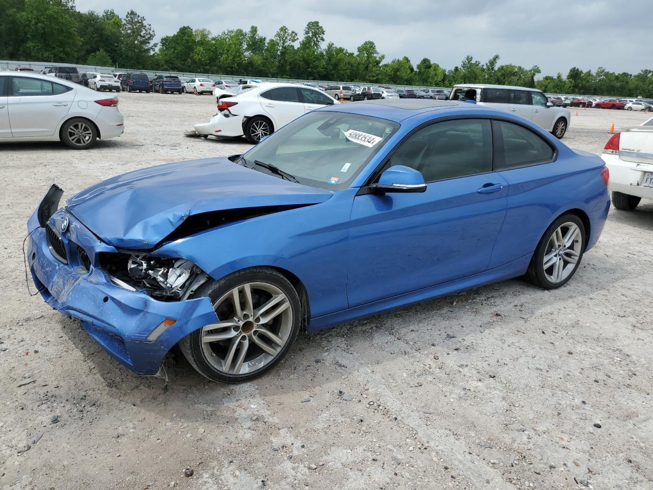 BMW 2ER 2017 wba2f9c58hv664318