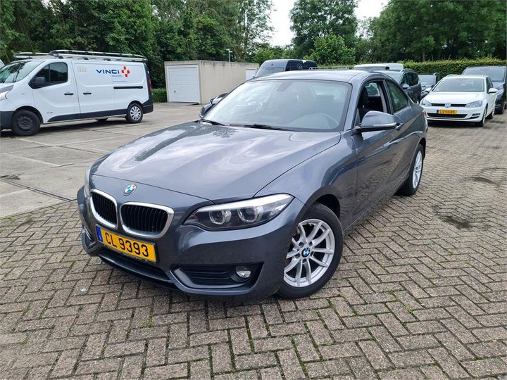 BMW 2 COUPE 2018 wba2h31020va13448