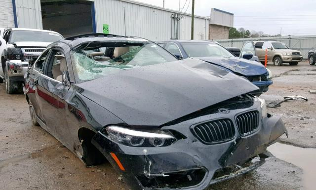 BMW 230I 2018 wba2j1c50jvd09393