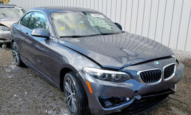 BMW 230I 2018 wba2j1c55jvd09468