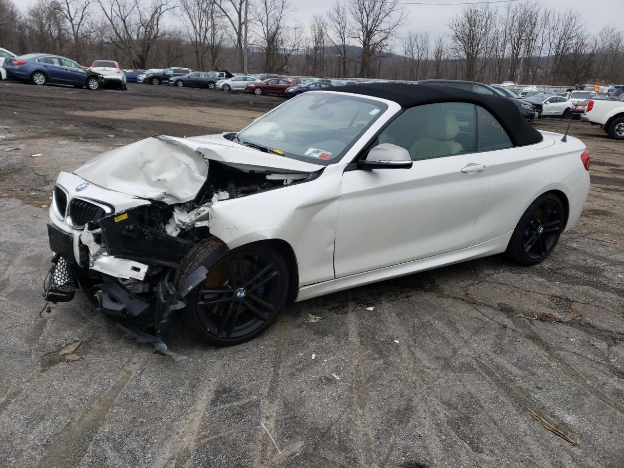 BMW M2 2019 wba2n3c59kve46303