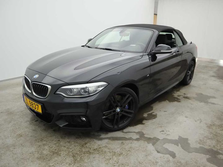 BMW 2-SRIE CABRIO 2017 wba2n91060vb06386